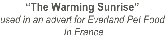 “The Warming Sunrise” used in an advert for Everland Pet Food  In France