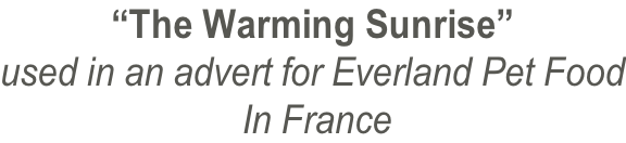 “The Warming Sunrise” used in an advert for Everland Pet Food  In France